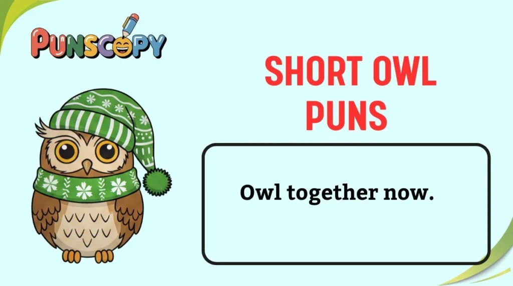 Short owl puns