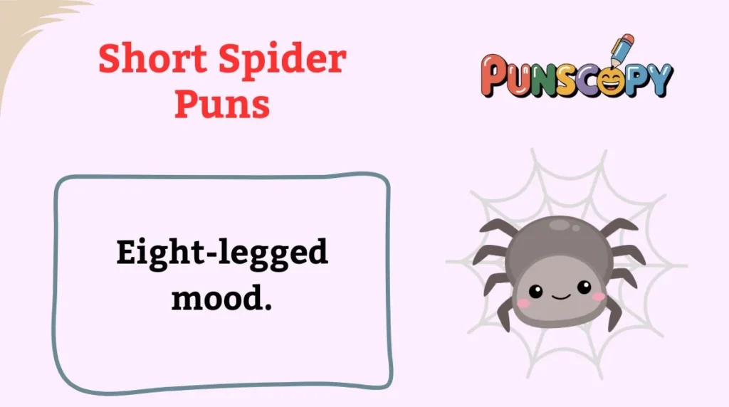 Short Spider Puns