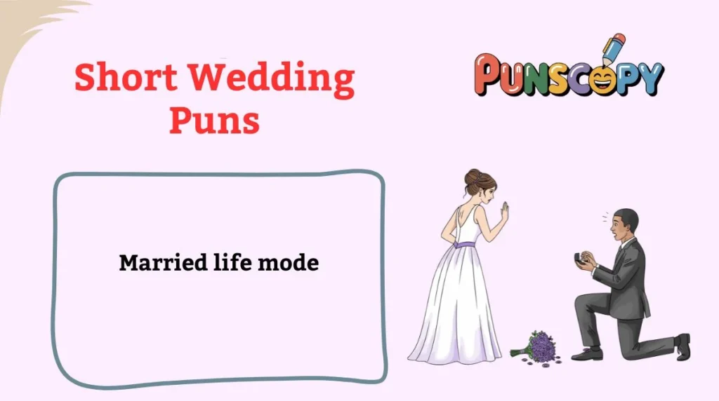 Short Wedding Puns