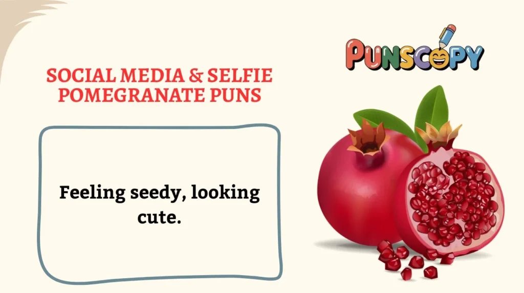 Social Media & Selfie Pomegranate Puns