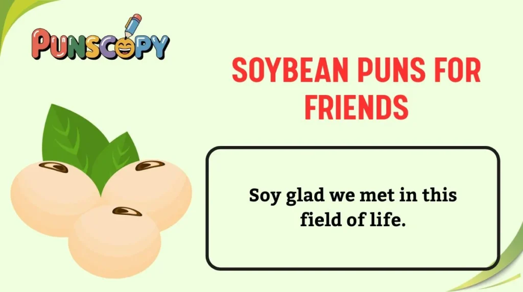Soybean Puns for Friends