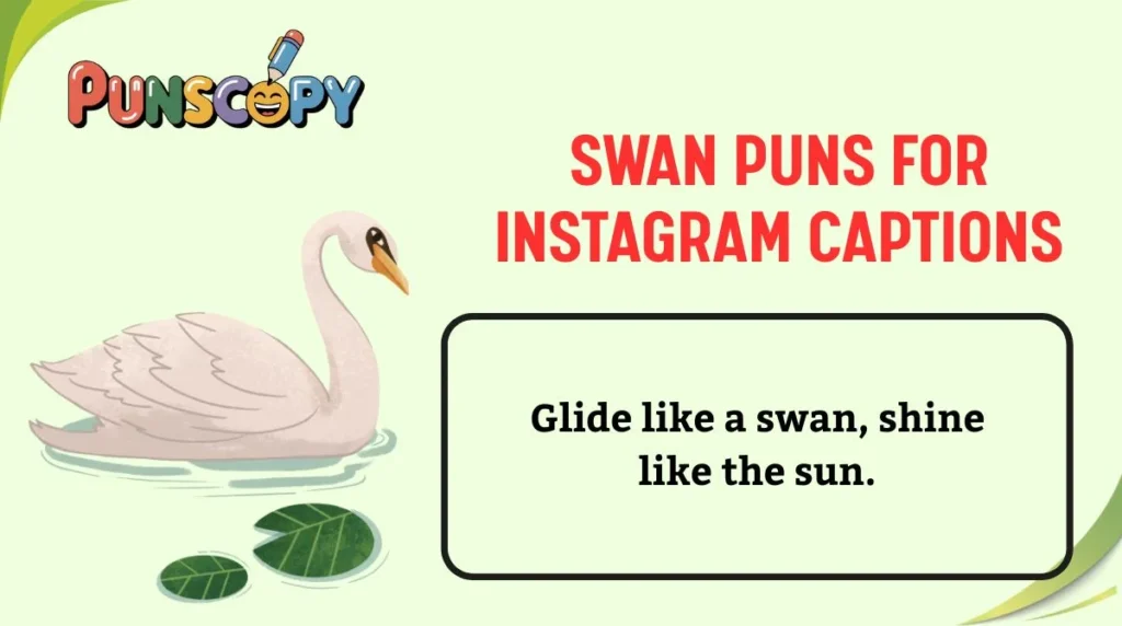 Swan Puns for Instagram Captions