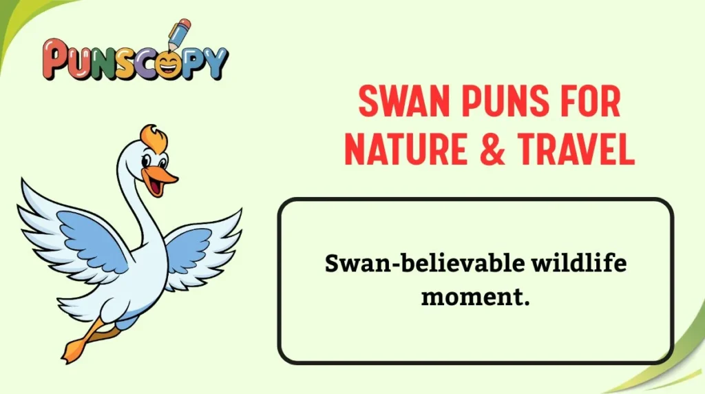 Swan Puns for Nature & Travel