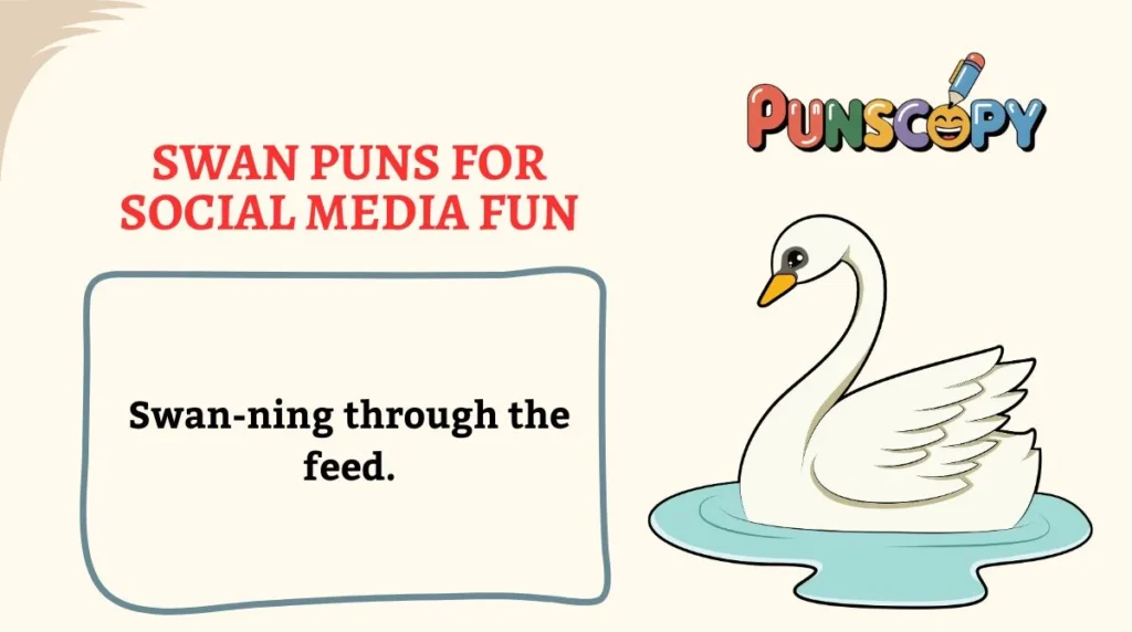 Swan Puns for Social Media Fun