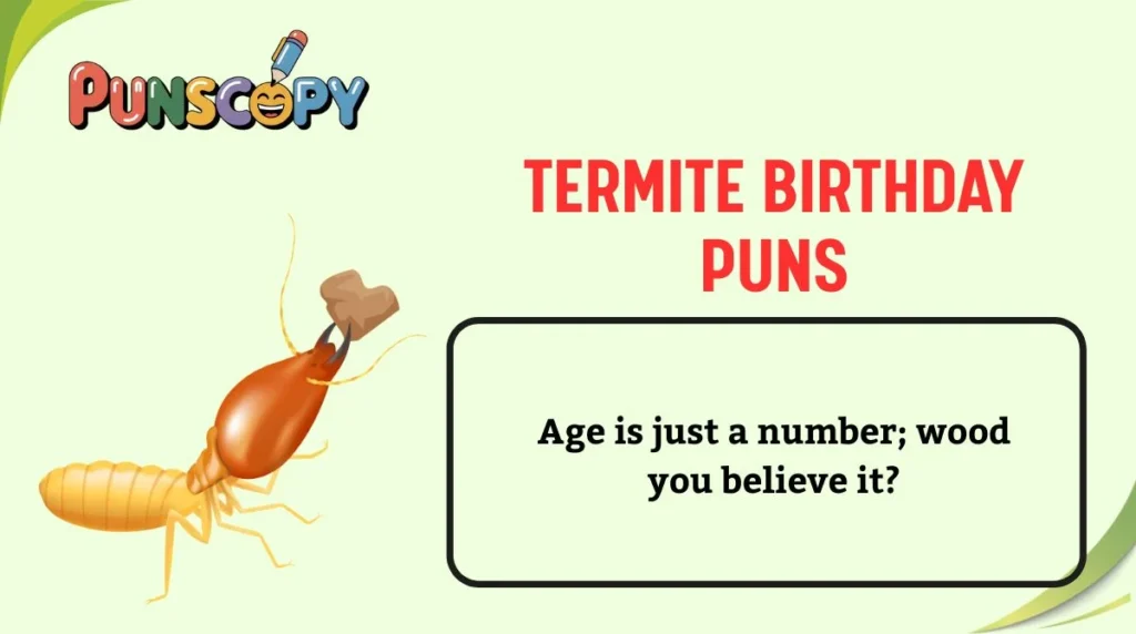 Termite Birthday Puns