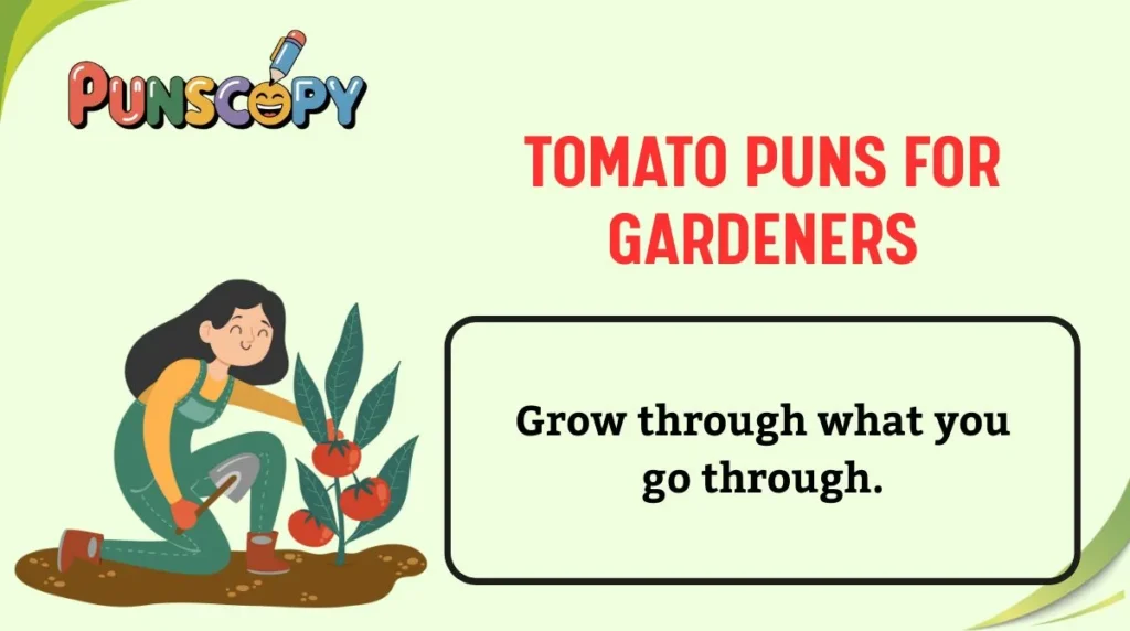 Tomato Puns for Gardeners
