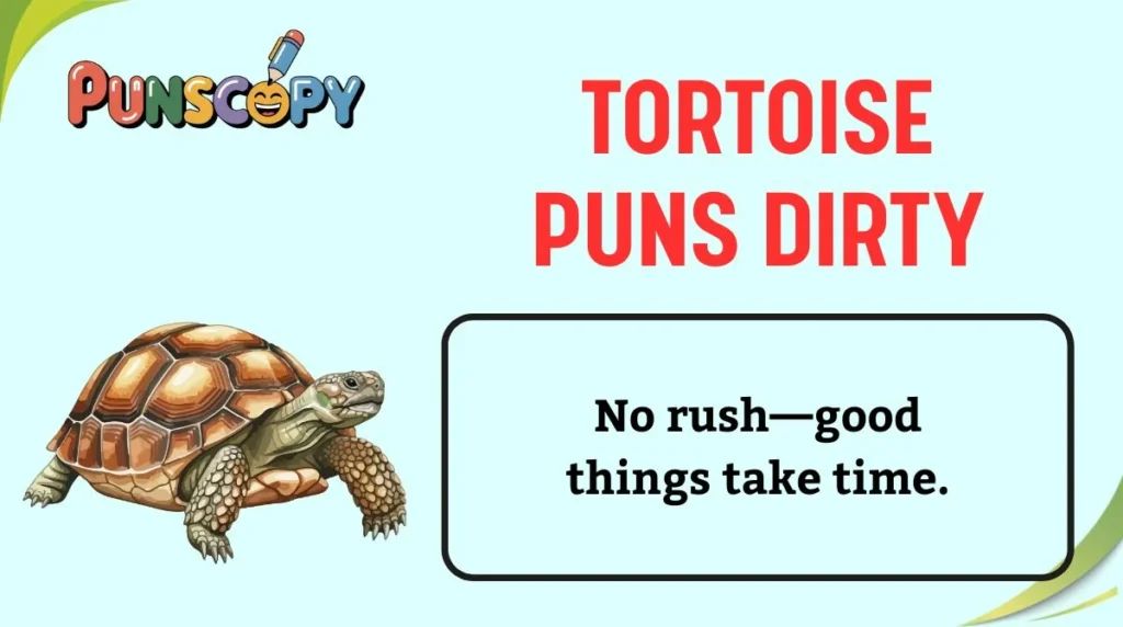 Tortoise Puns Dirty