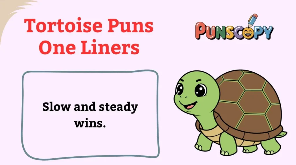 Tortoise Puns One Liners