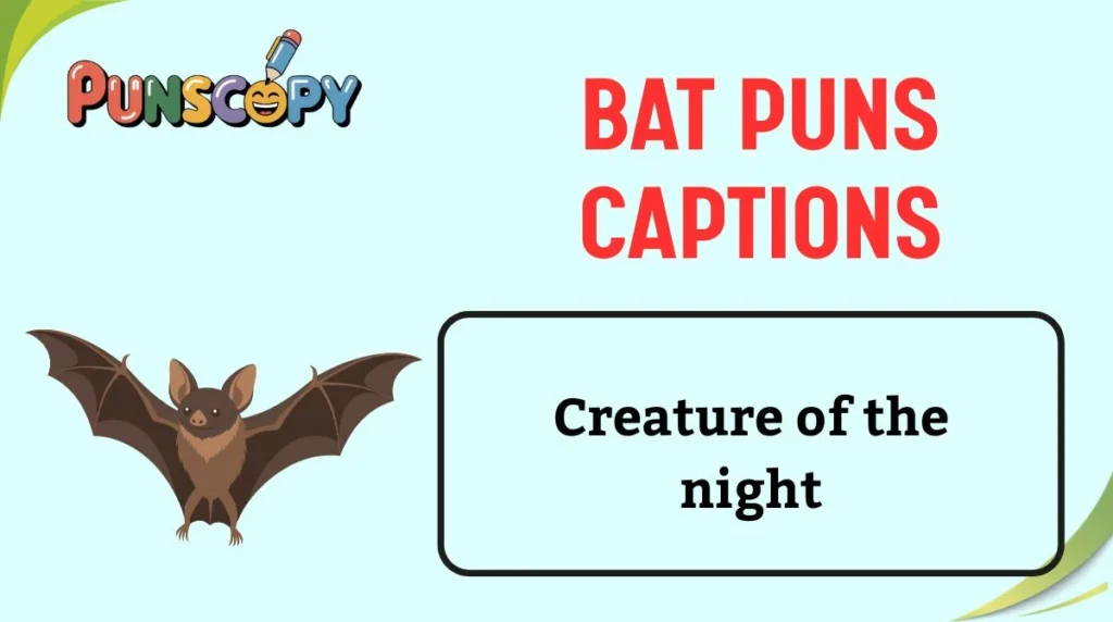 Bat Puns Captions