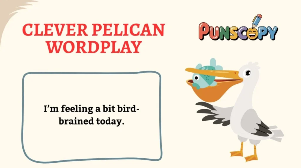 Clever Pelican Wordplay