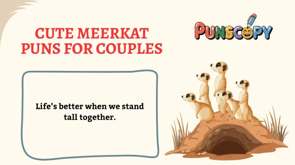 Cute Meerkat Puns for Couples