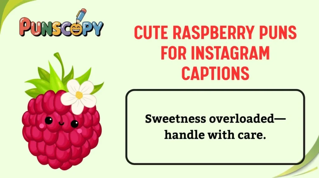 Cute Raspberry Puns for Instagram Captions