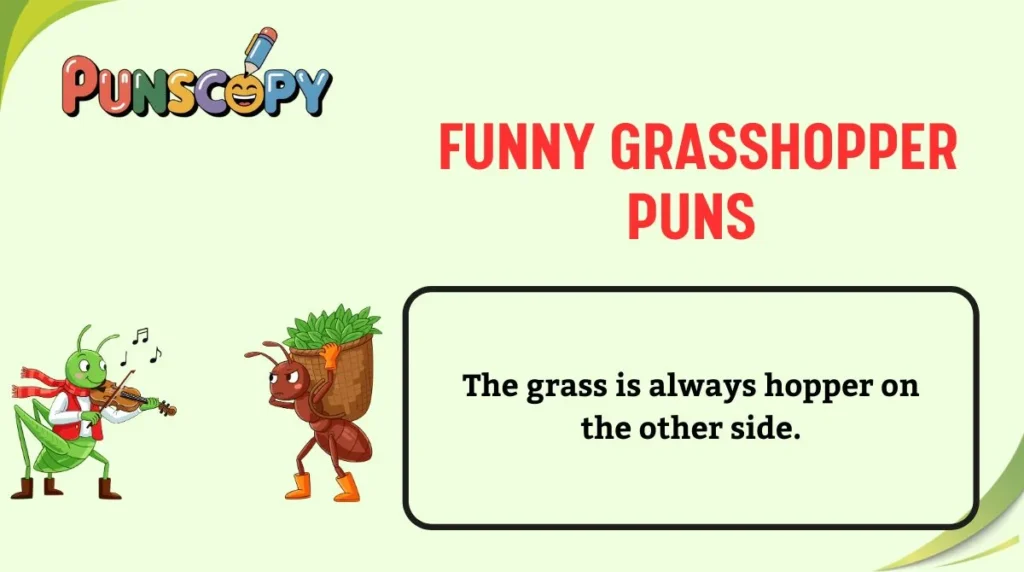 Funny Grasshopper Puns