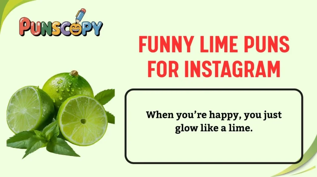 Funny Lime Puns for Instagram
