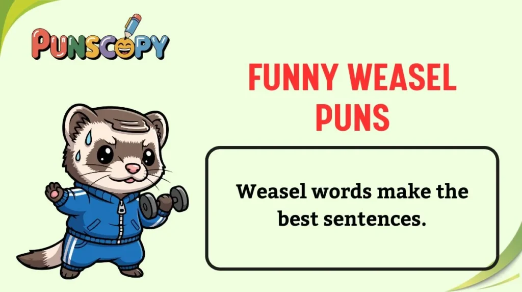 Funny Weasel Puns