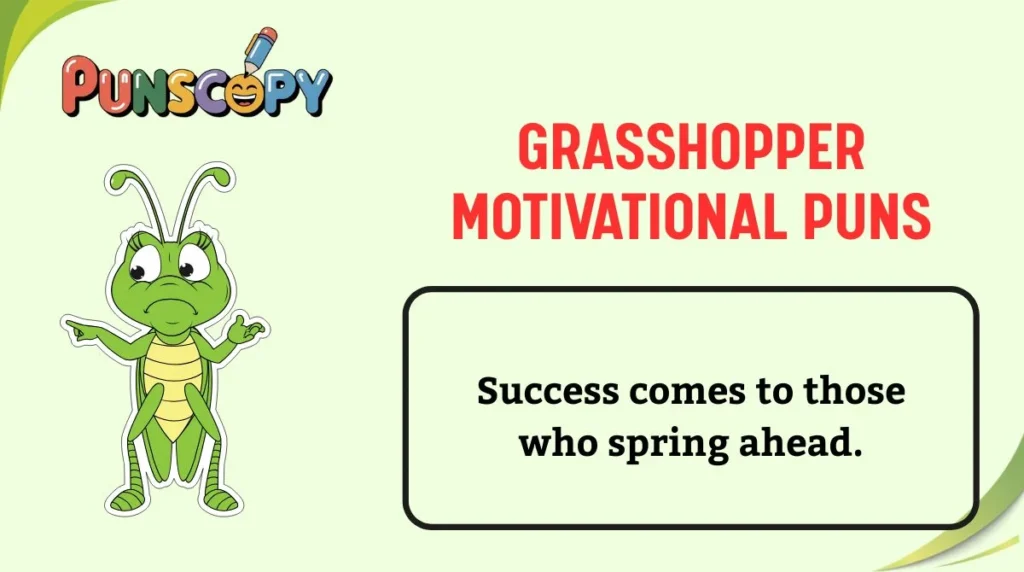 Grasshopper Motivational Puns