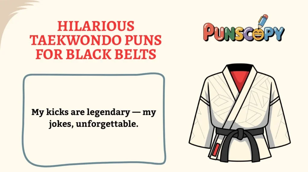 Hilarious Taekwondo Puns for Black Belts