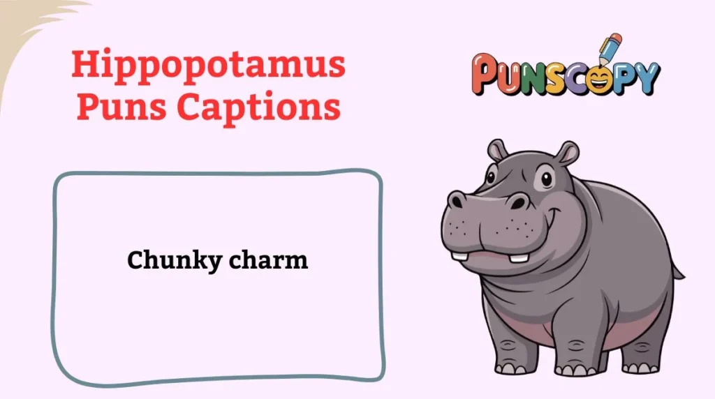 Hippopotamus Puns Captions