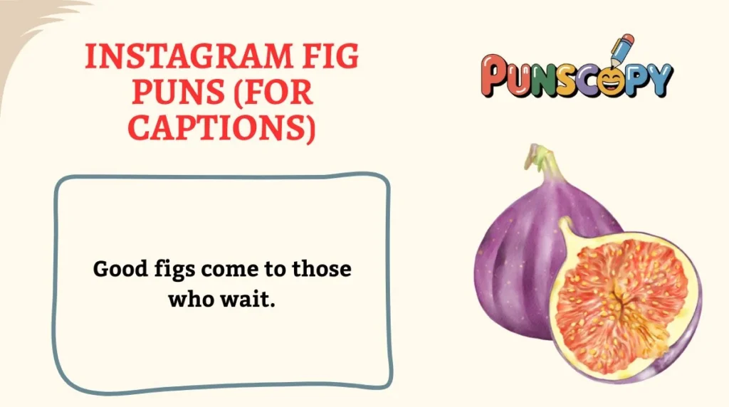 Instagram Fig Puns (for Captions)