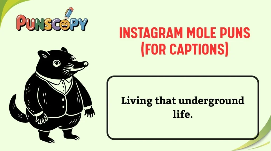 Instagram Mole Puns (For Captions)