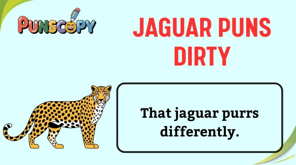 Jaguar Puns Dirty