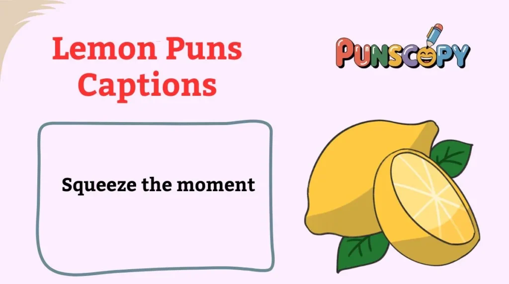 Lemon Puns Captions