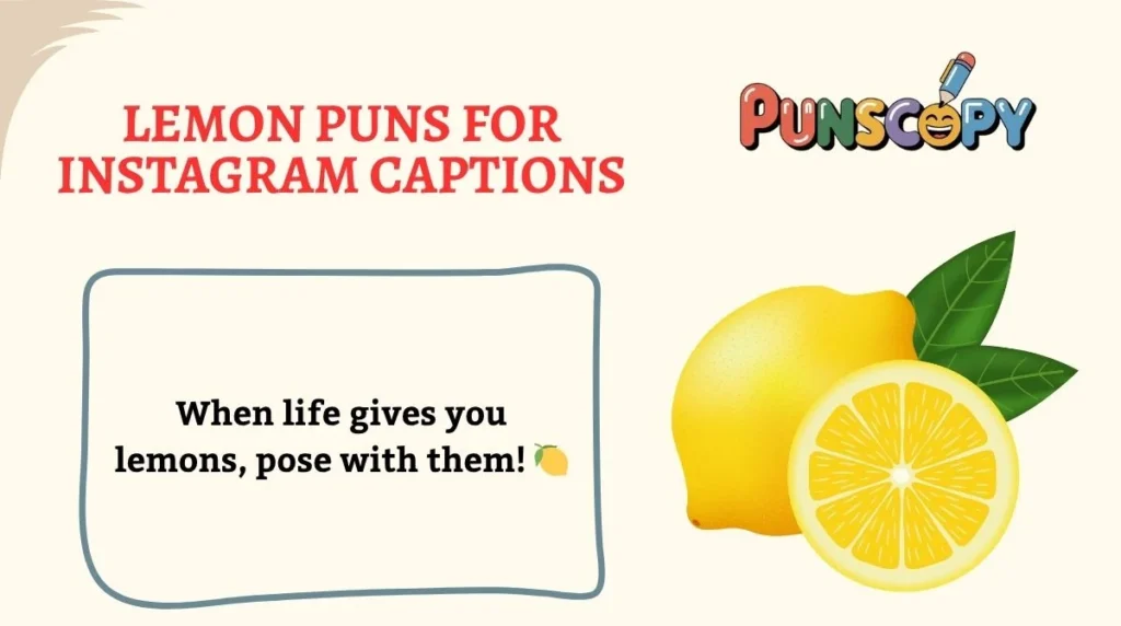 Lemon Puns for Instagram Captions