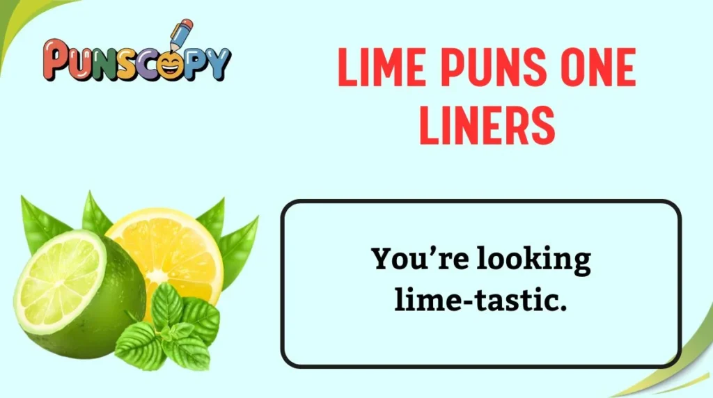 Lime Puns One Liners