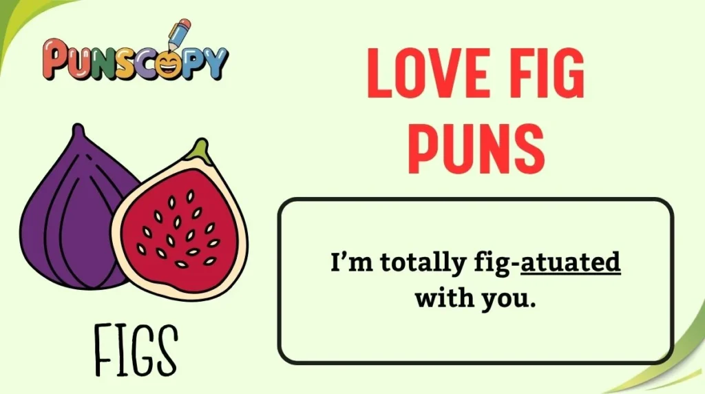 Love Fig Puns