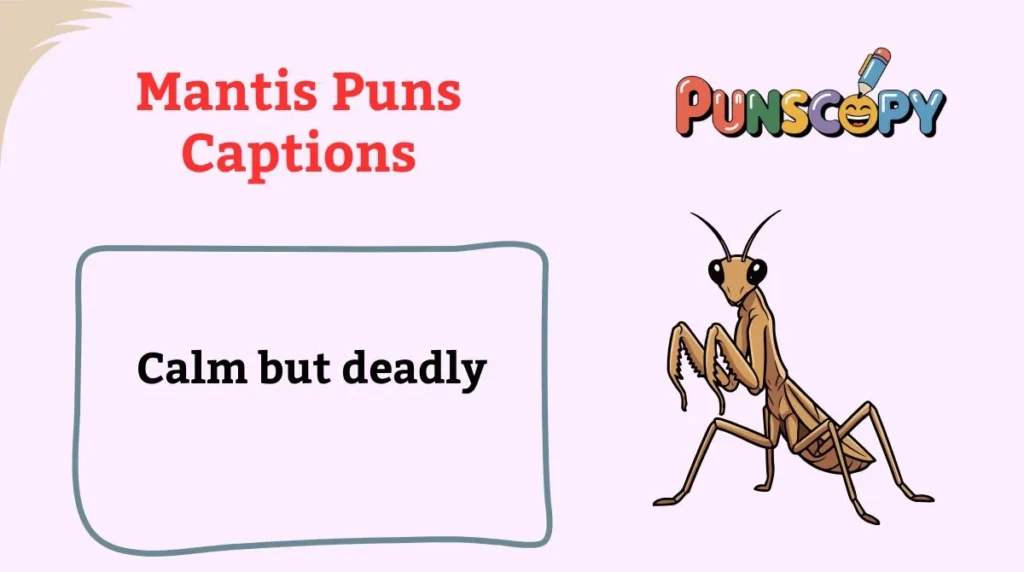 Mantis Puns Captions