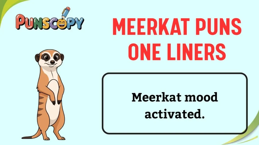 Meerkat Puns One Liners