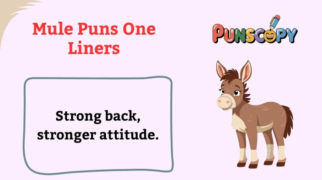 Mule Puns One Liners
