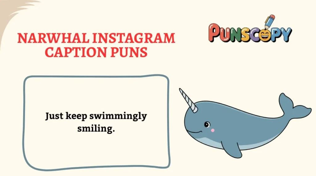 Narwhal Instagram Caption Puns