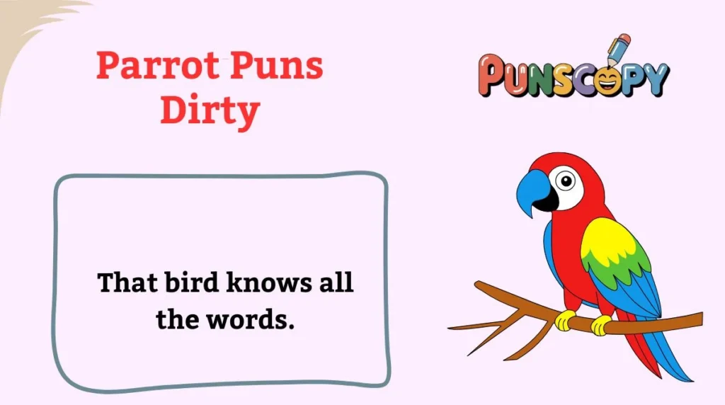 Parrot Puns Dirty