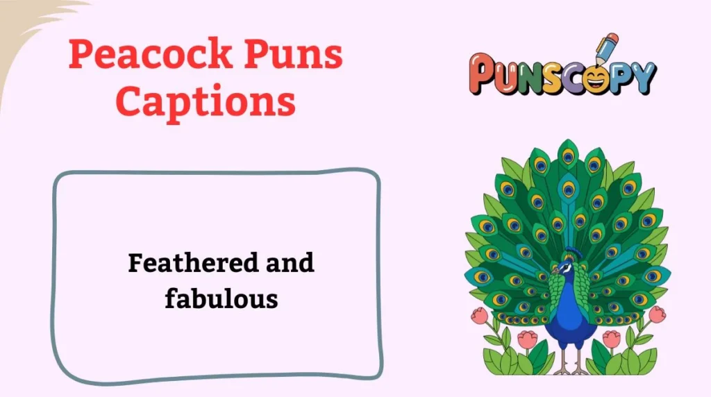Peacock Puns Captions