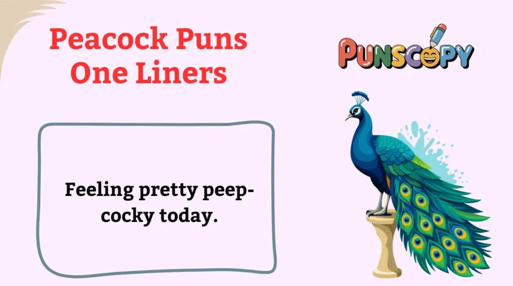 Peacock Puns One Liners