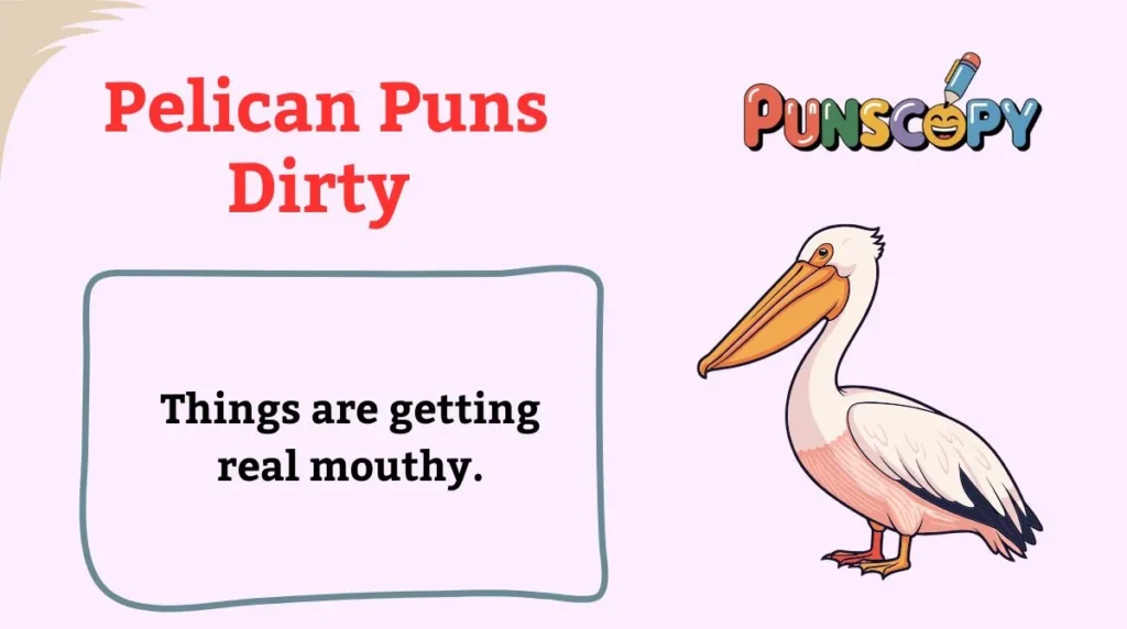 Pelican Puns Dirty
