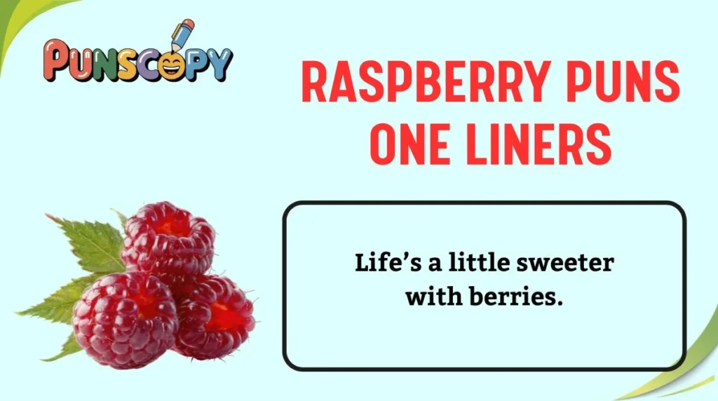 Raspberry Puns One Liners