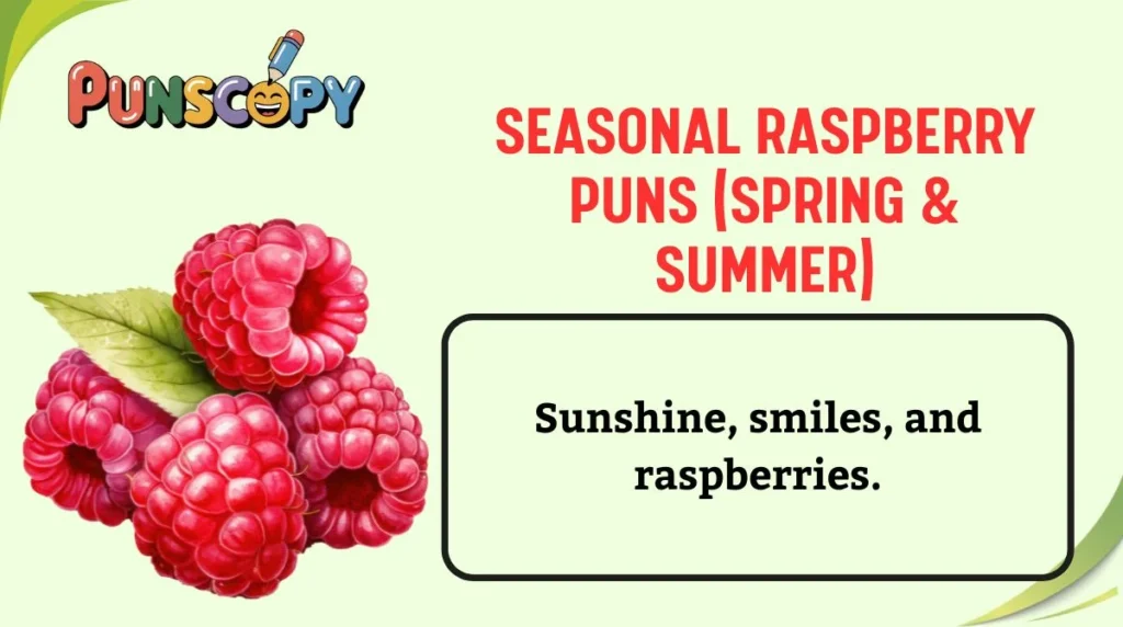 Seasonal Raspberry Puns (Spring & Summer)