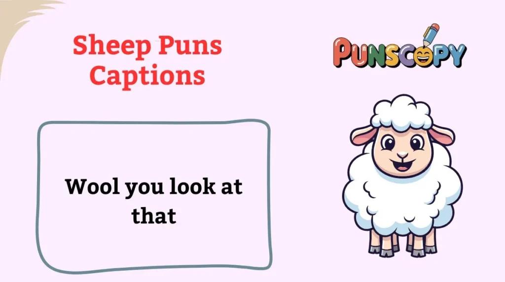 Sheep Puns Captions