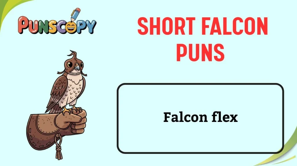 Short Falcon Puns