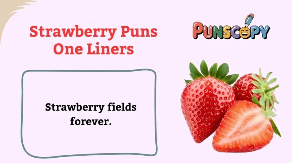 Strawberry Puns One Liners