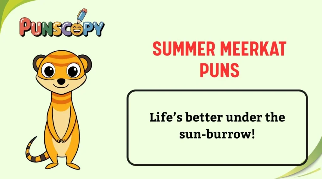 Summer Meerkat Puns