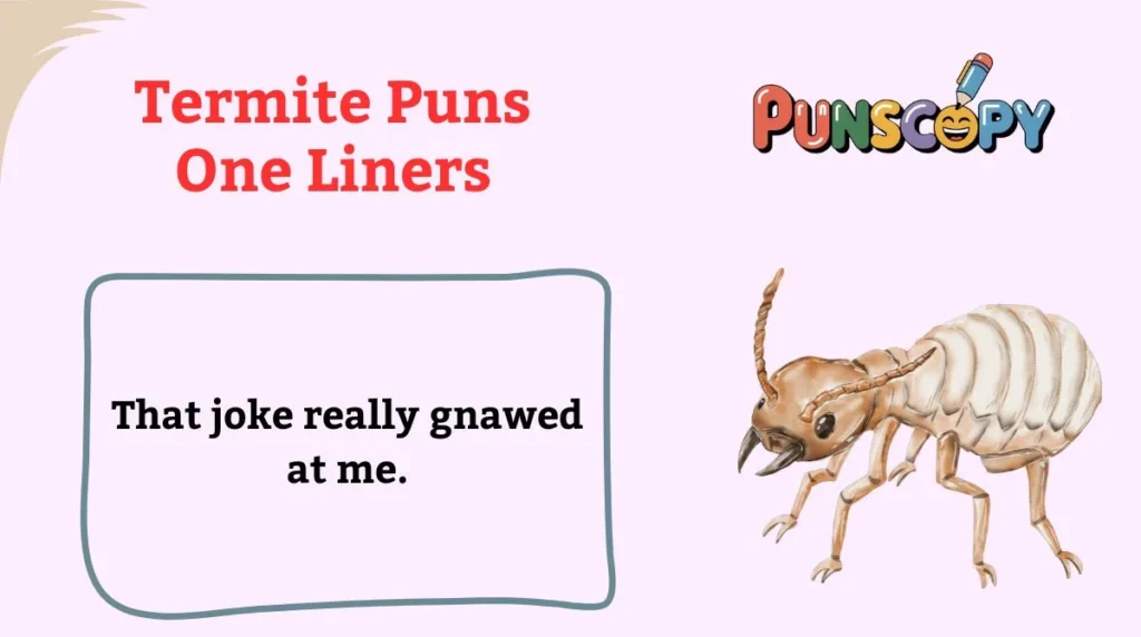 Termite Puns One Liners