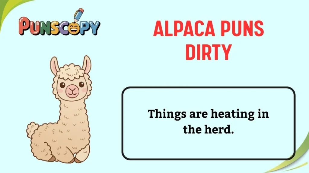 Alpaca Puns Dirty