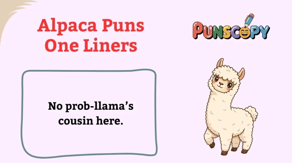 Alpaca Puns One Liners