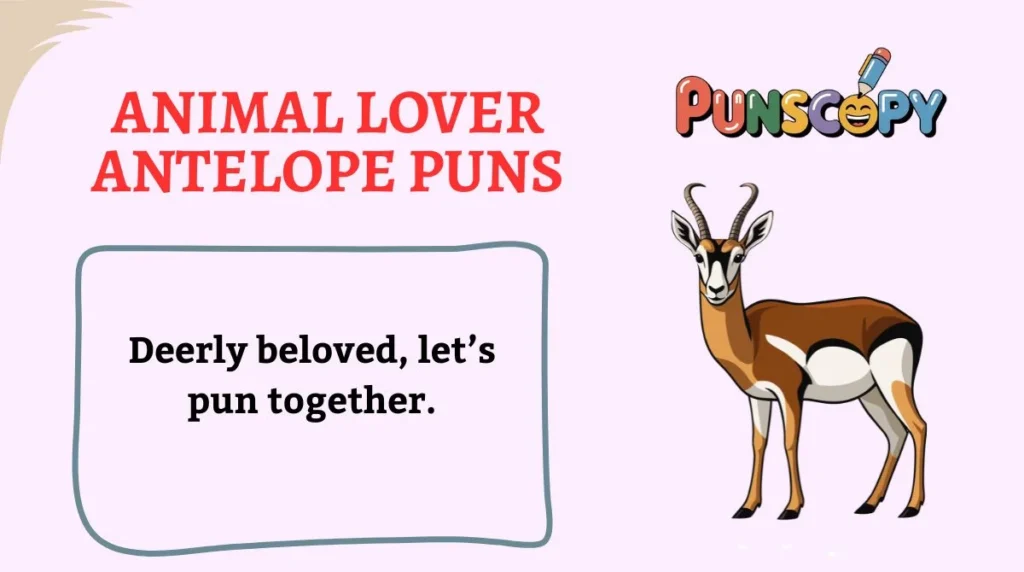 Animal Lover Antelope Puns