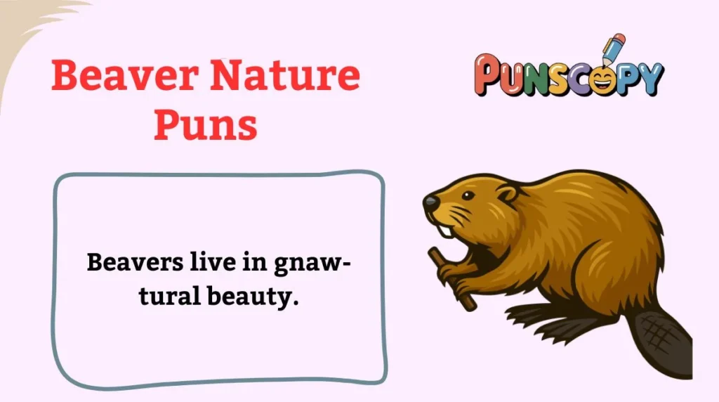 Beaver Nature Puns