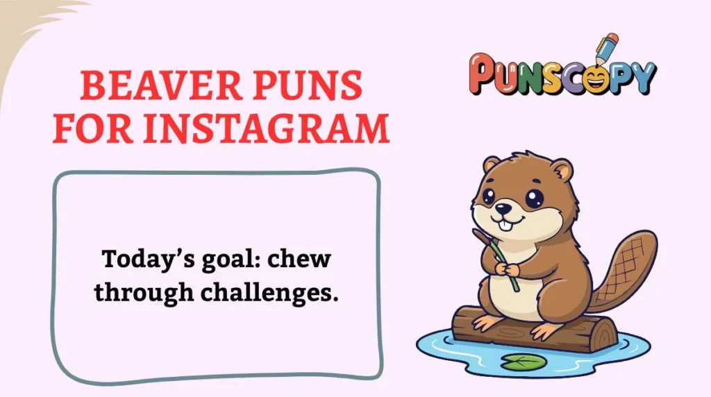 Beaver Puns for Instagram