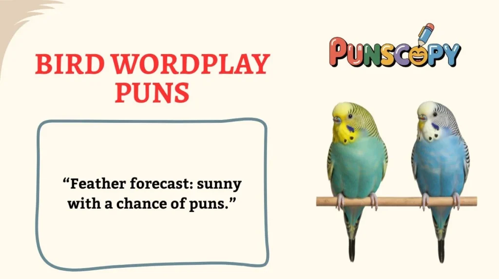 Bird Wordplay Puns